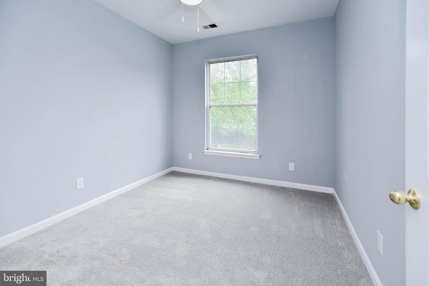 3517 Piney Woods Place #e204 photo 20