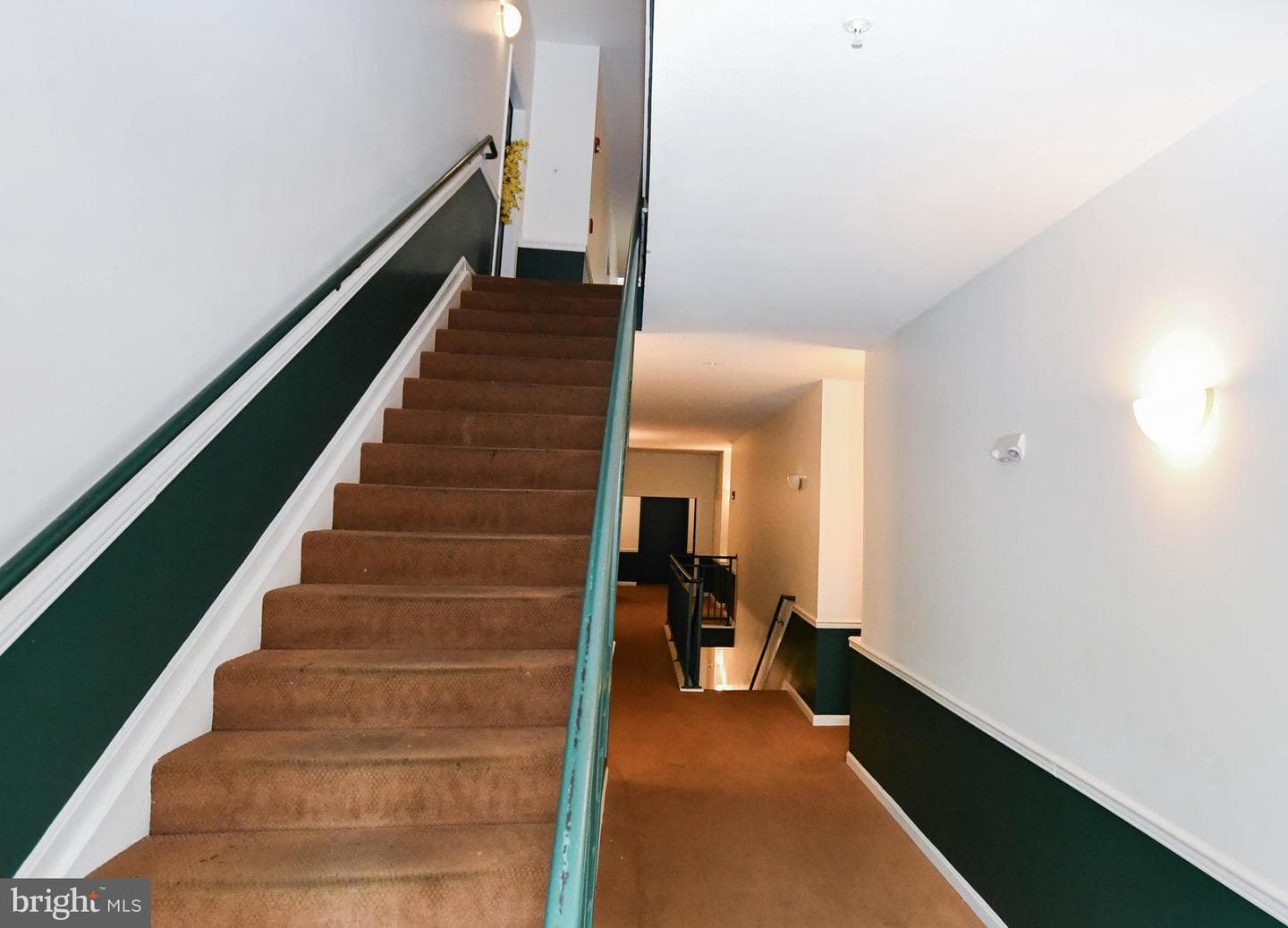 3517 Piney Woods Place #e204 photo 6