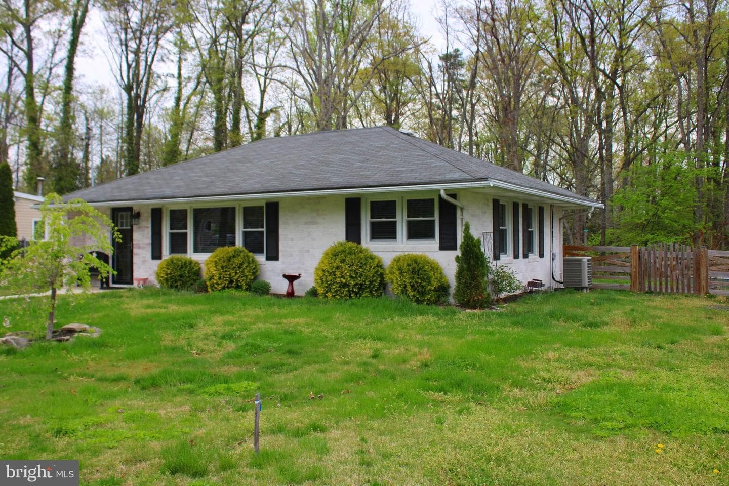 7802 Shelbourne Drive photo 7
