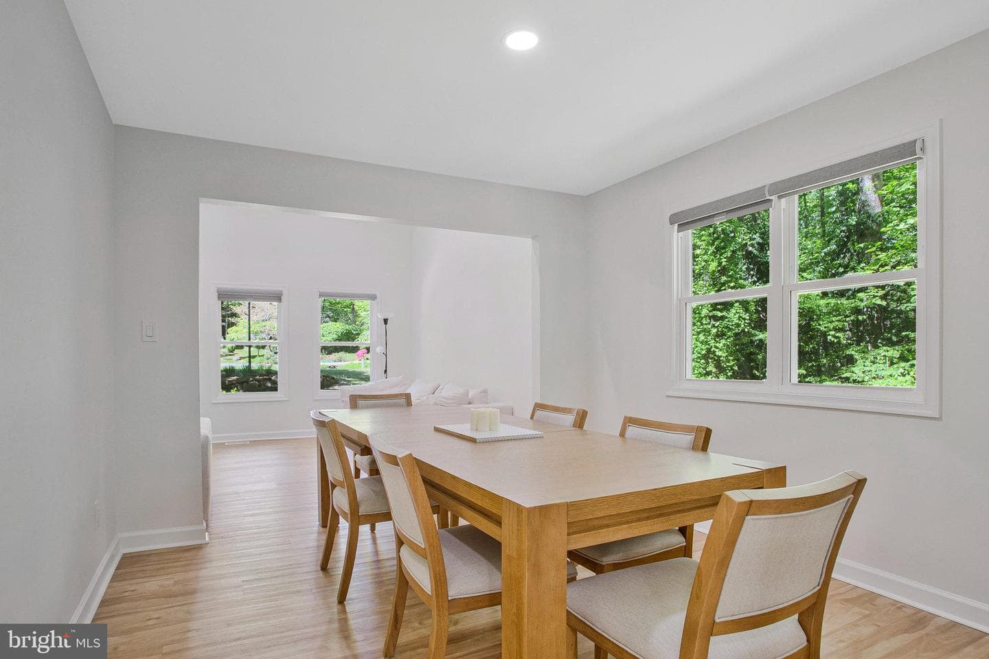 536 Green River Court photo 14