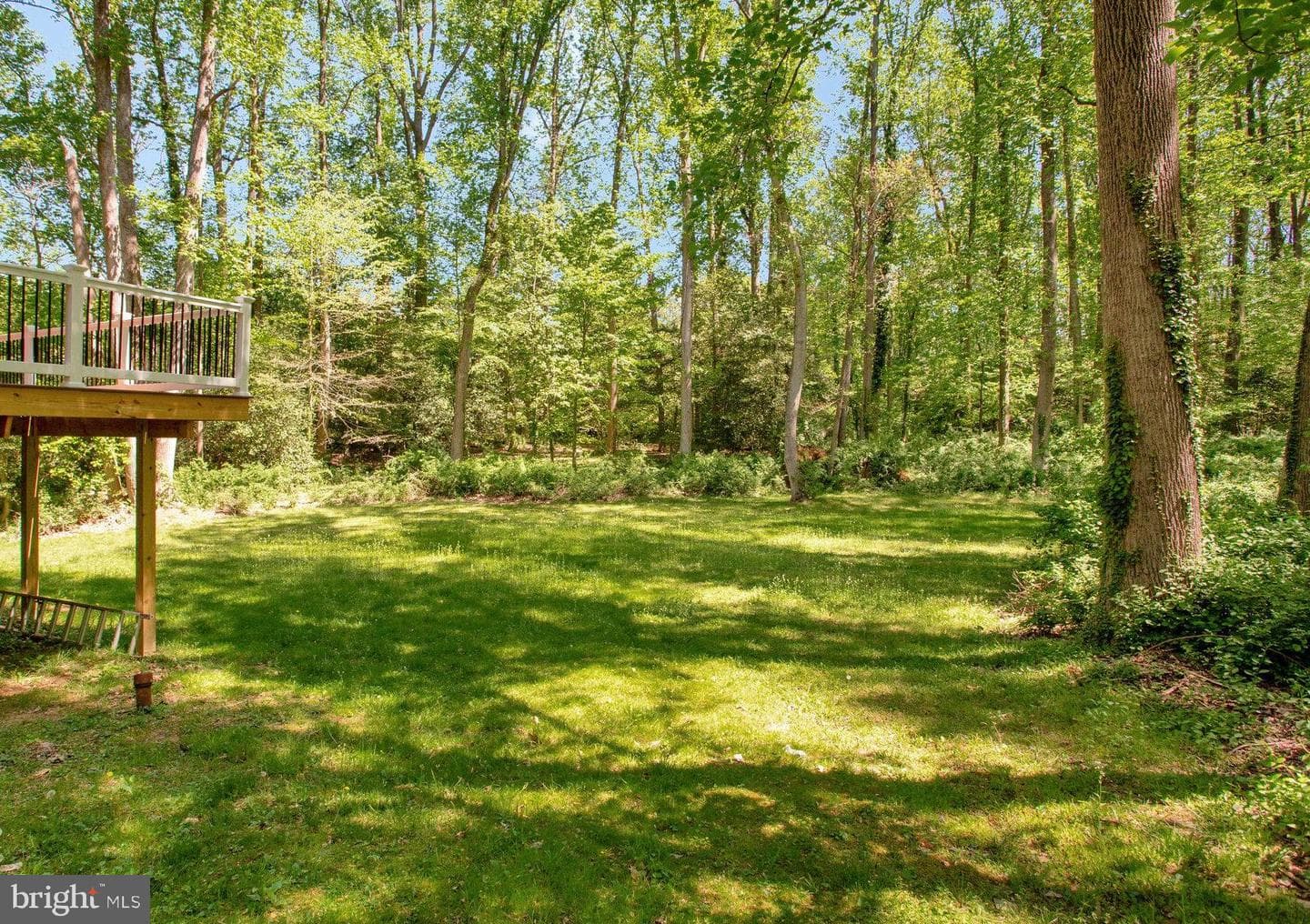 536 Green River Court photo 9