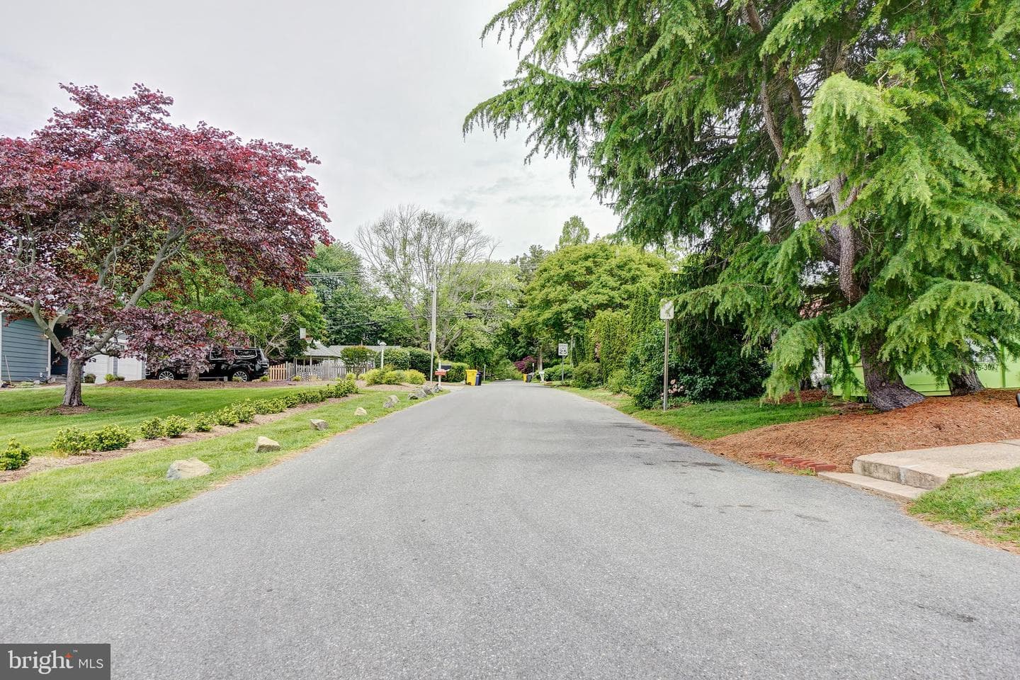 13 Wainwright Avenue photo 38