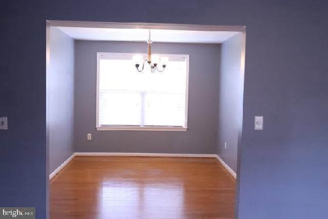 801 Selby Blvd photo 41