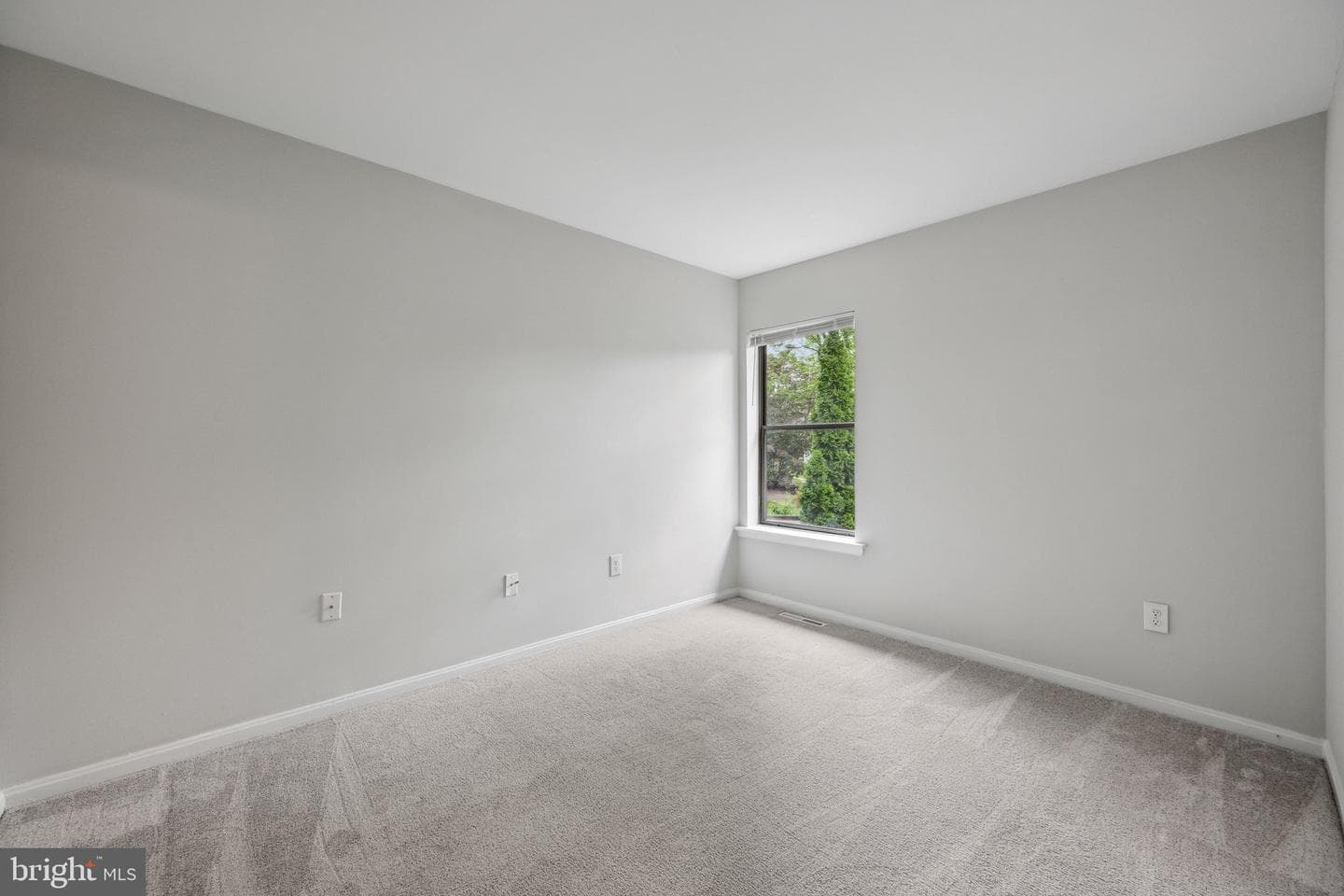 1019 Timber Creek Drive photo 18