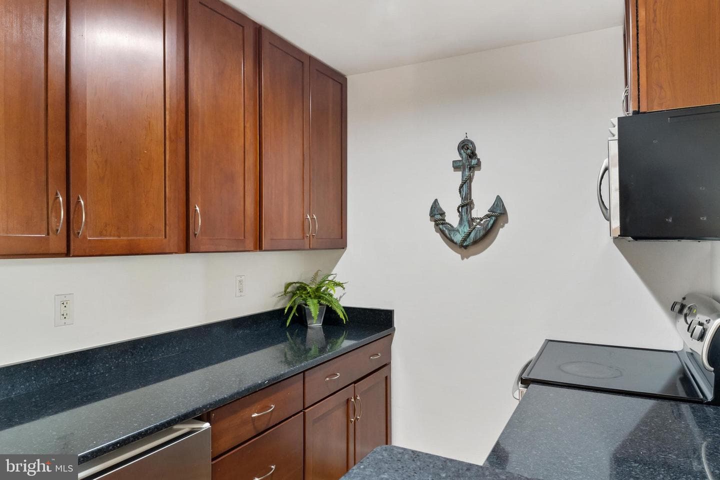 316 Burnside Street #304 photo 6