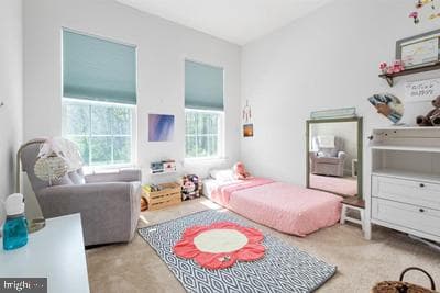 2038 Twisted Oak Place photo 13