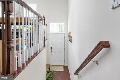 2038 Twisted Oak Place photo 3