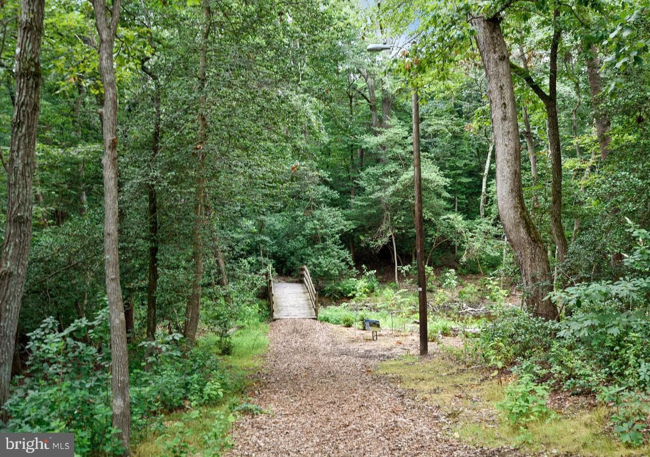 262 North Drive photo 41