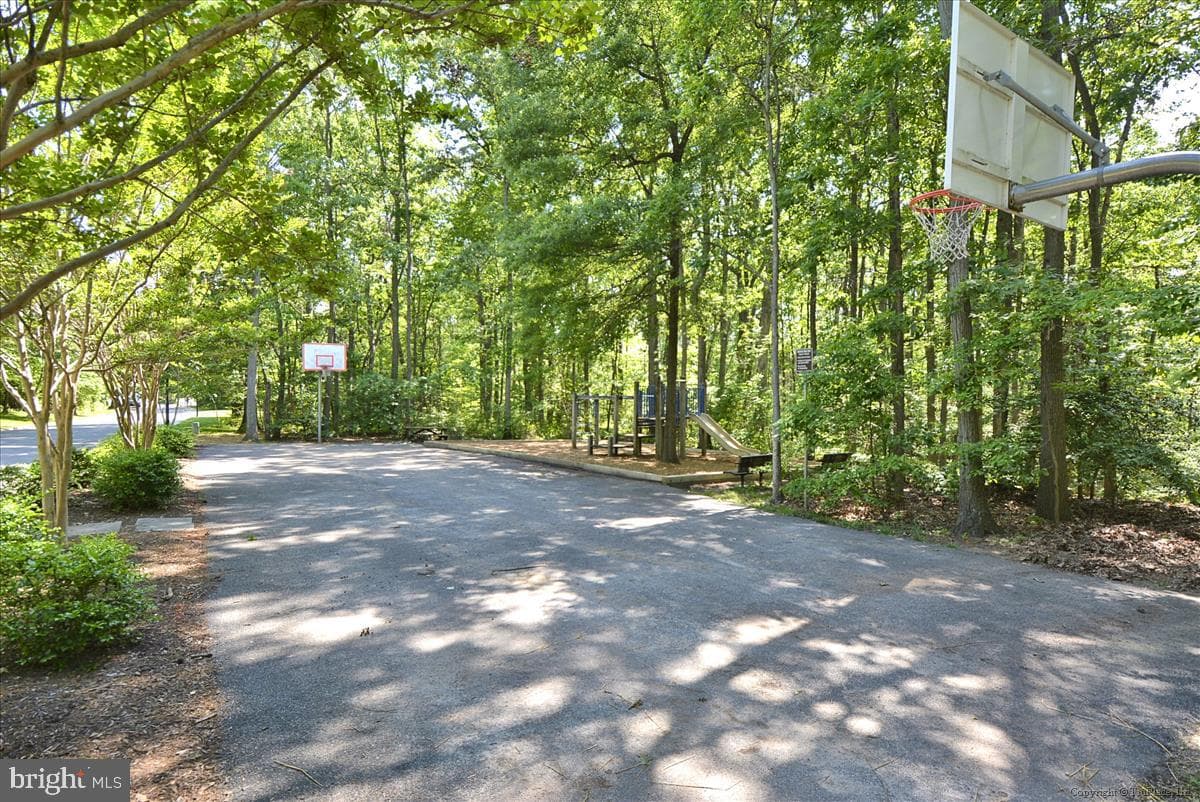 977 Chestnut Manor Court photo 53