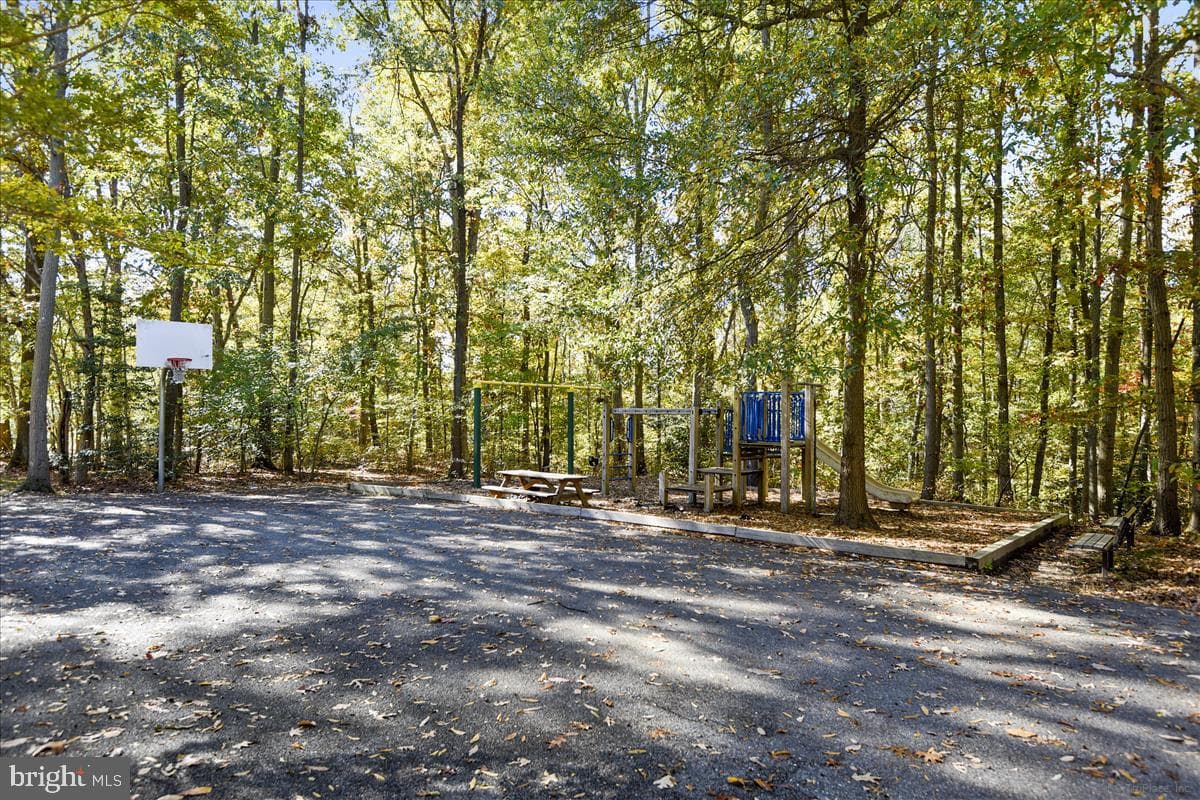 977 Chestnut Manor Court photo 62