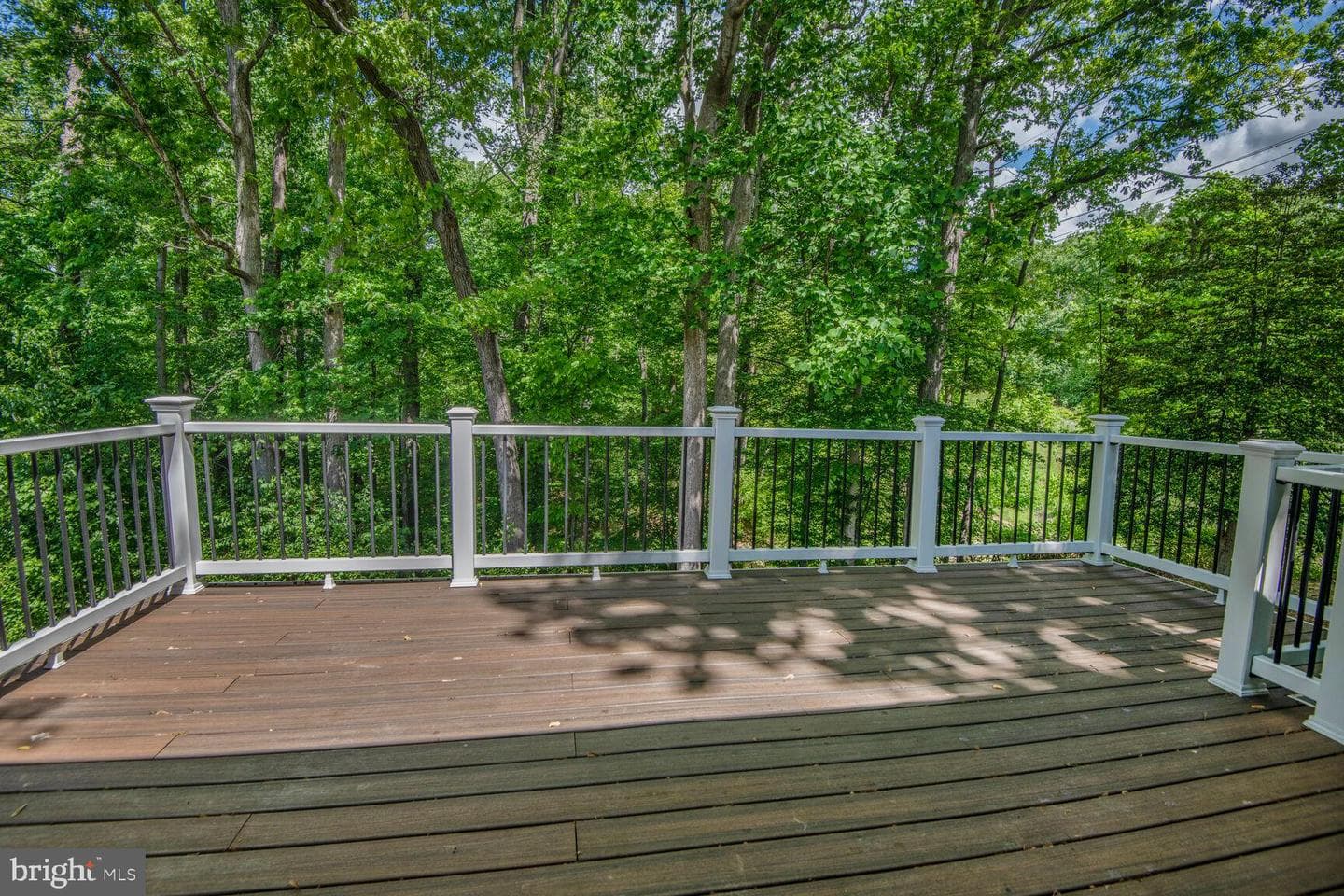 2218 Dairy Farm Road photo 23