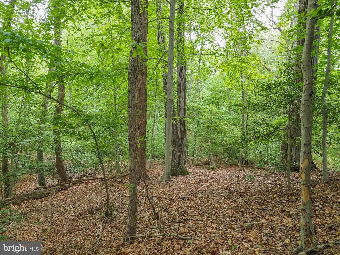 524 Ridge Road photo 27