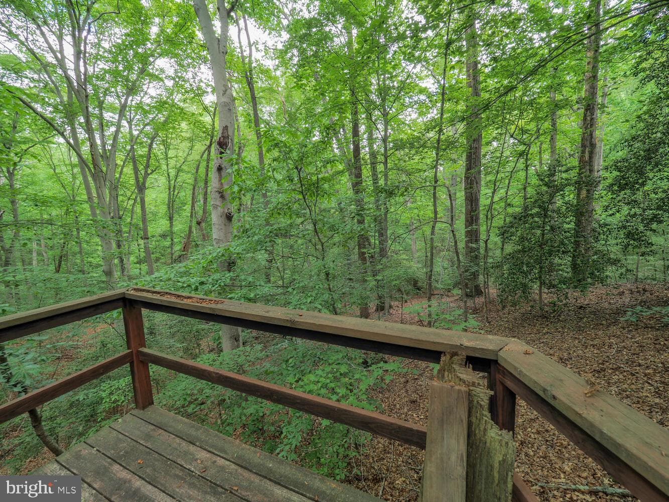 524 Ridge Road photo 33