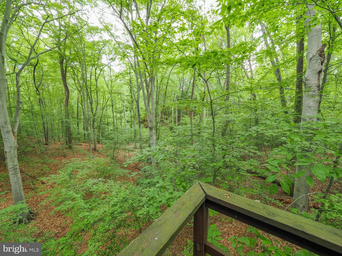 524 Ridge Road photo 34
