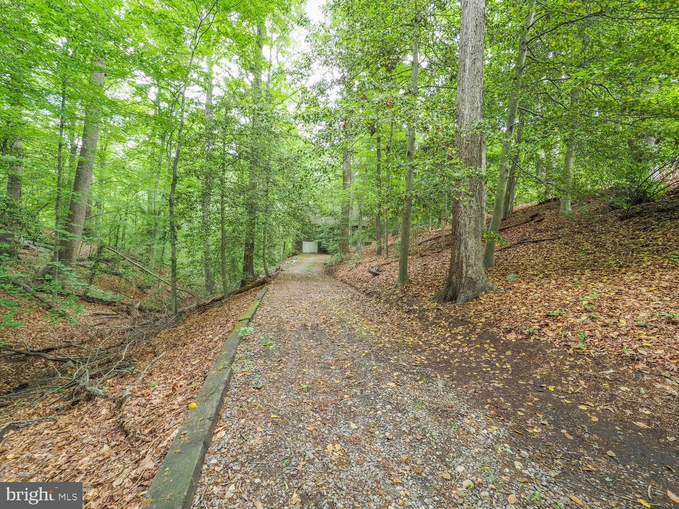 524 Ridge Road photo 4