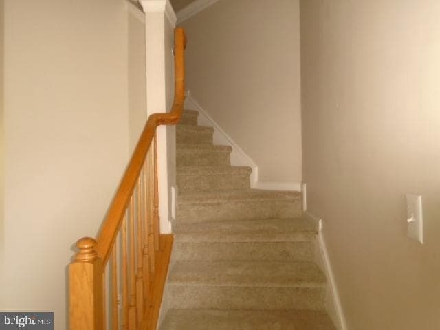 2844 Settlers View Drive photo 13