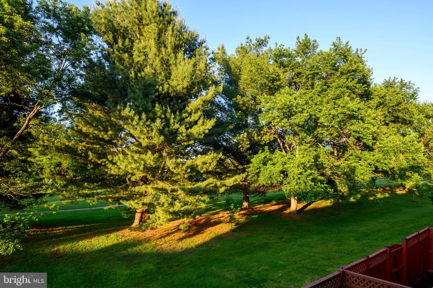 2510 Smoketree Lane photo 25
