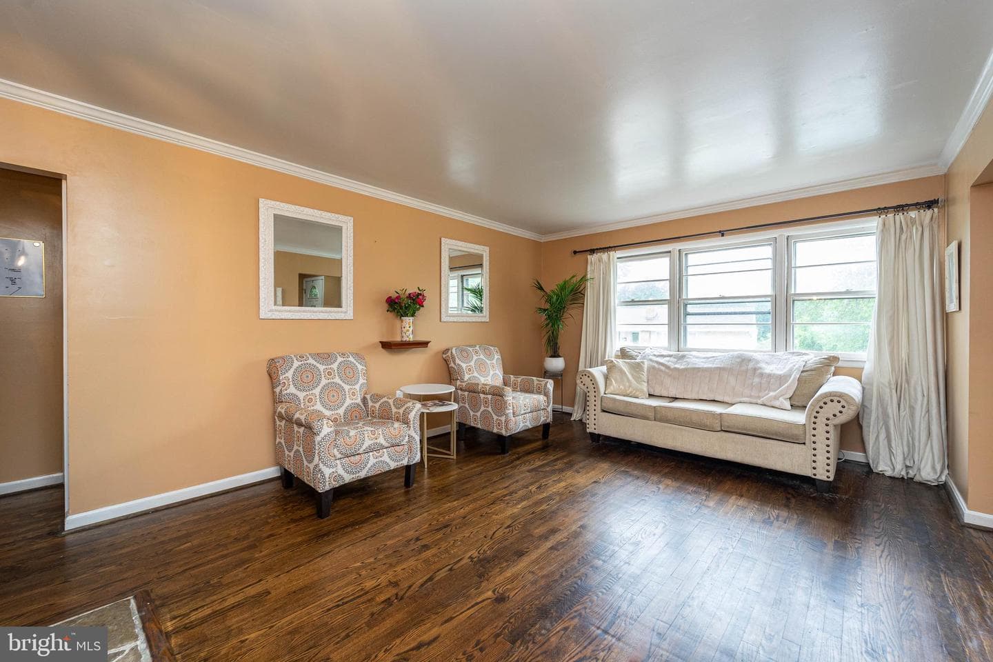 210 Coronet Drive photo 4