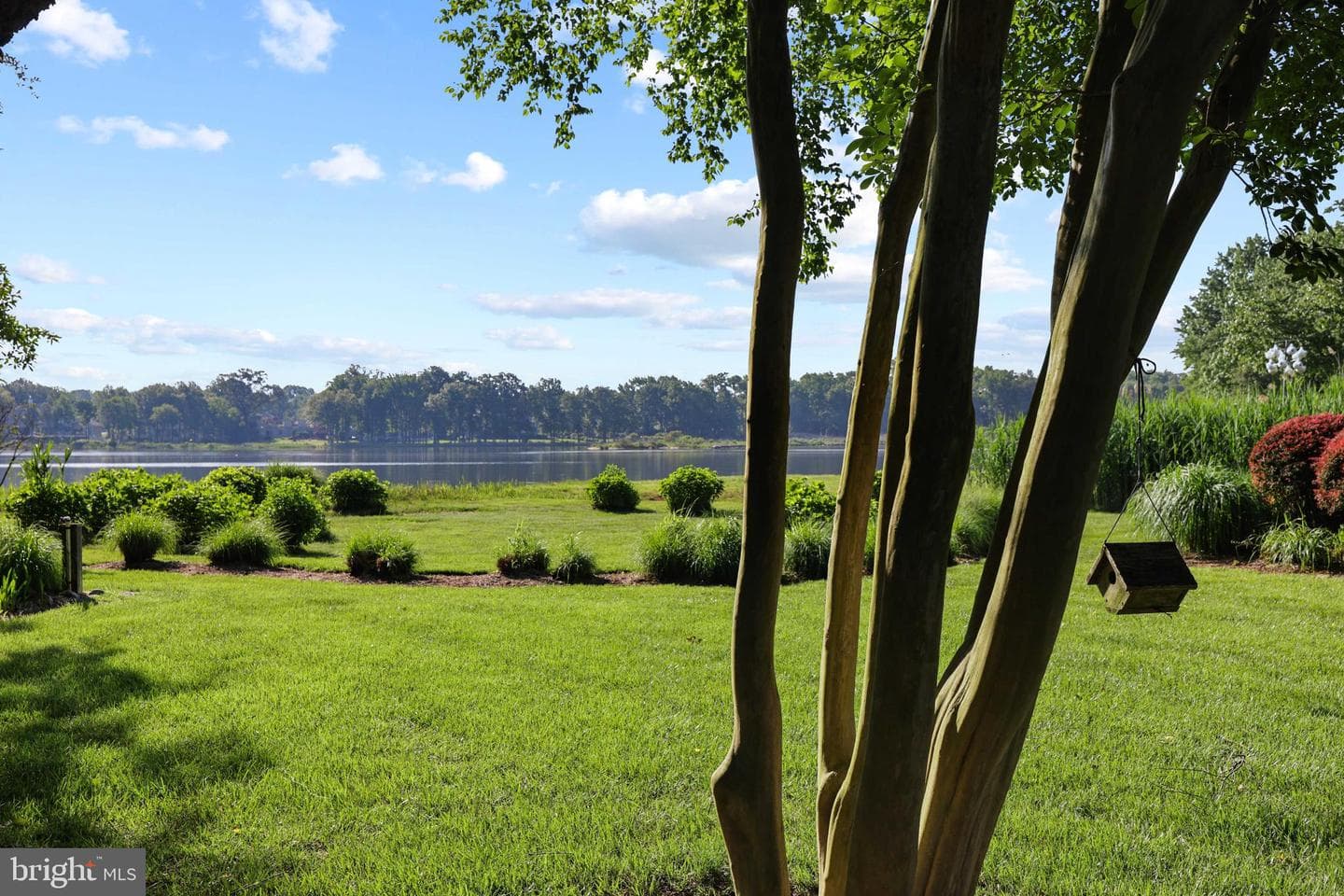 1241 Cherry Tree Lane photo 40