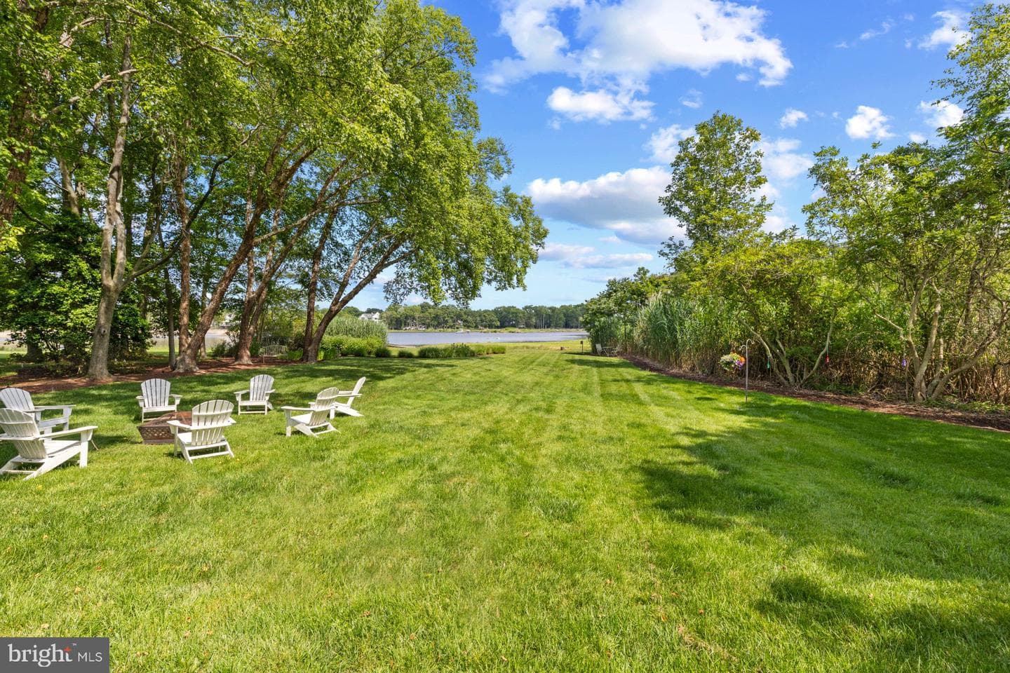 1241 Cherry Tree Lane photo 41