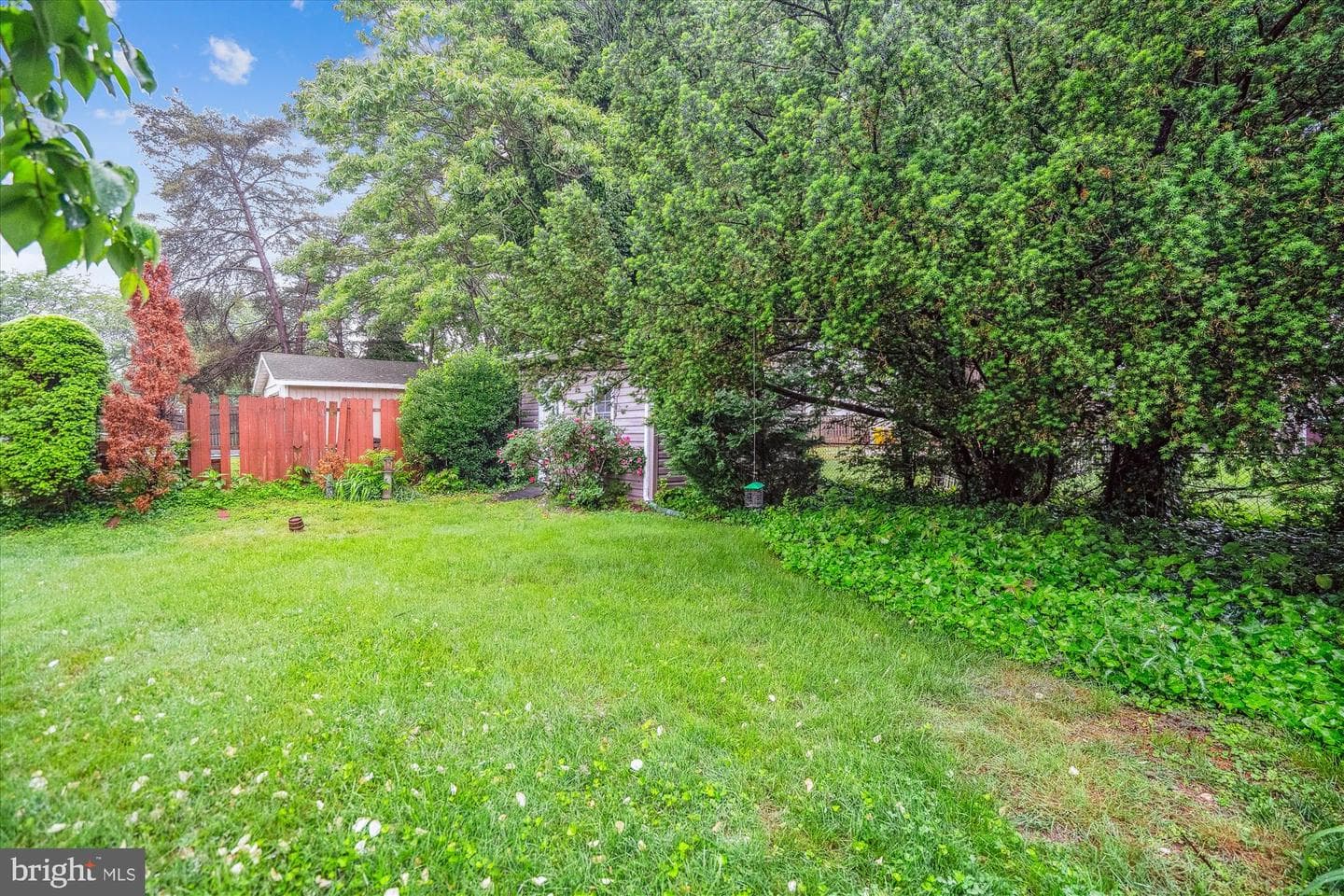 218 Dale Road photo 28
