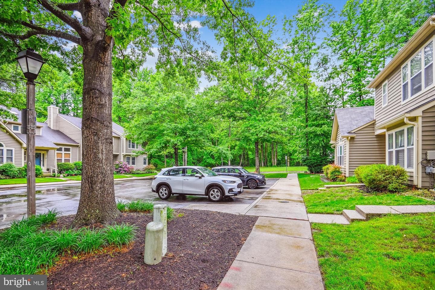 8 Ashford Court photo 23
