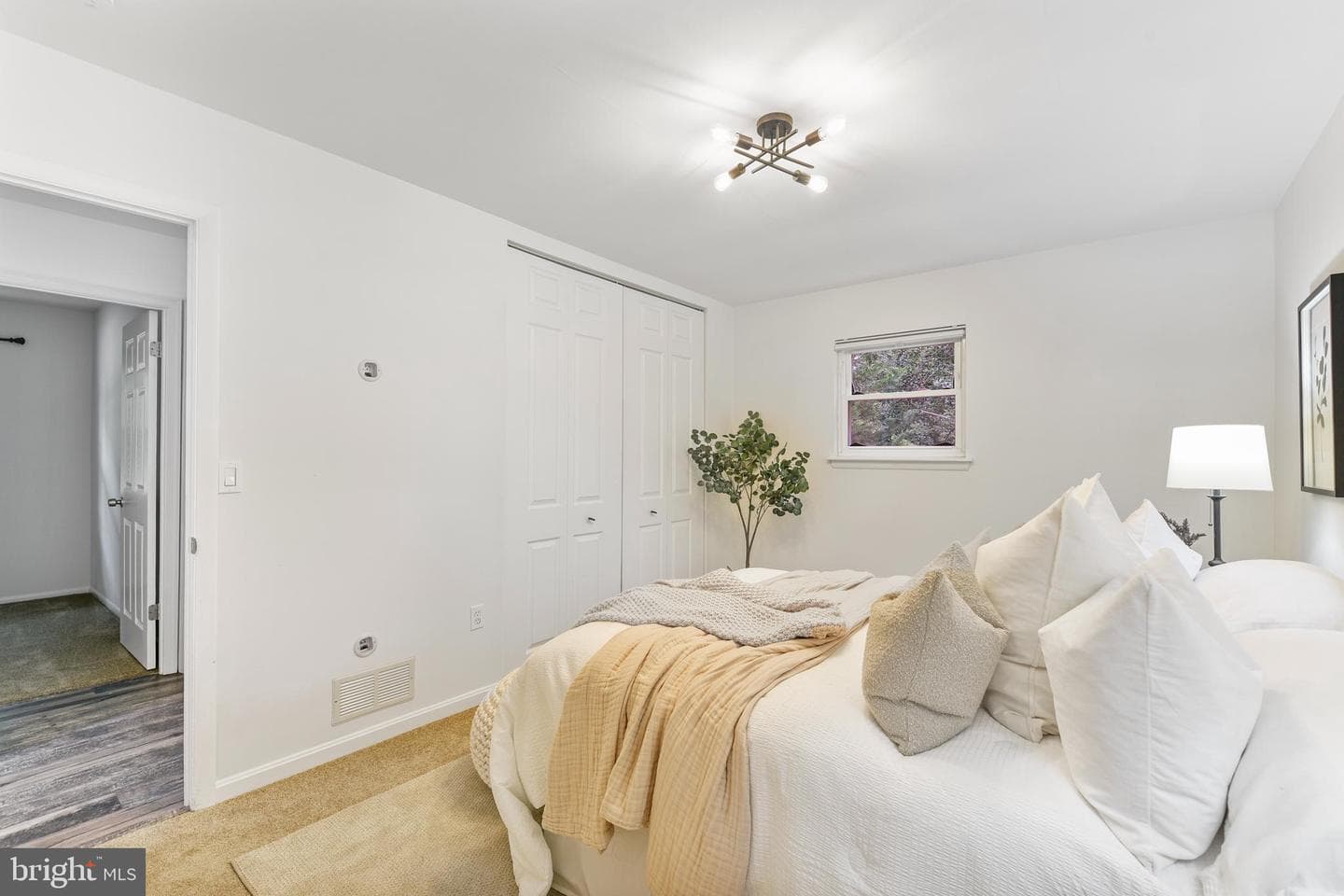 1013 Plum Creek Drive photo 20