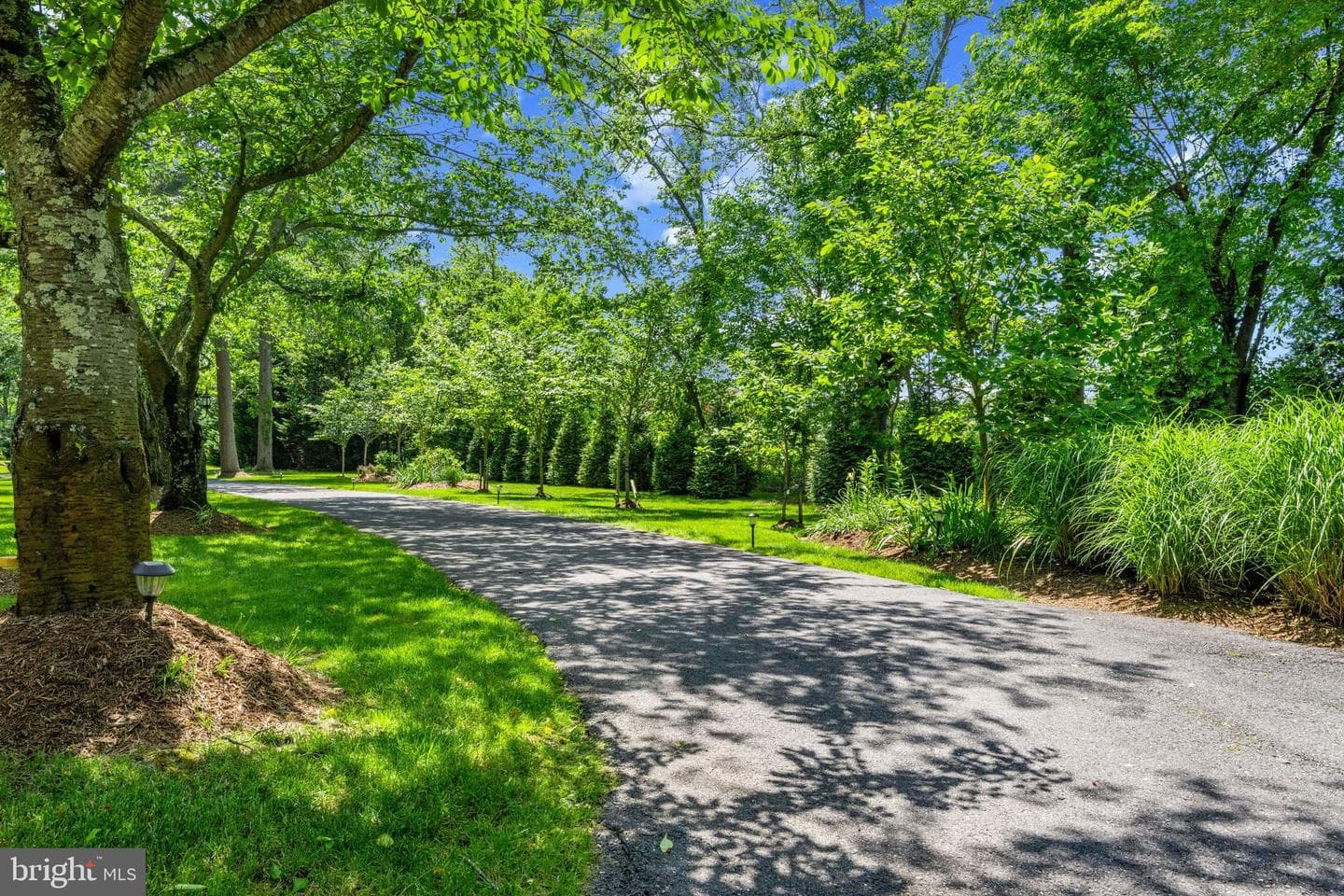 2706 Church Creek Lane photo 11