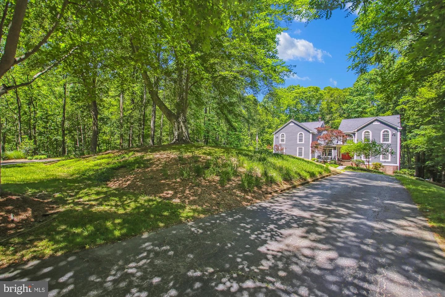714 Avila Drive photo 42