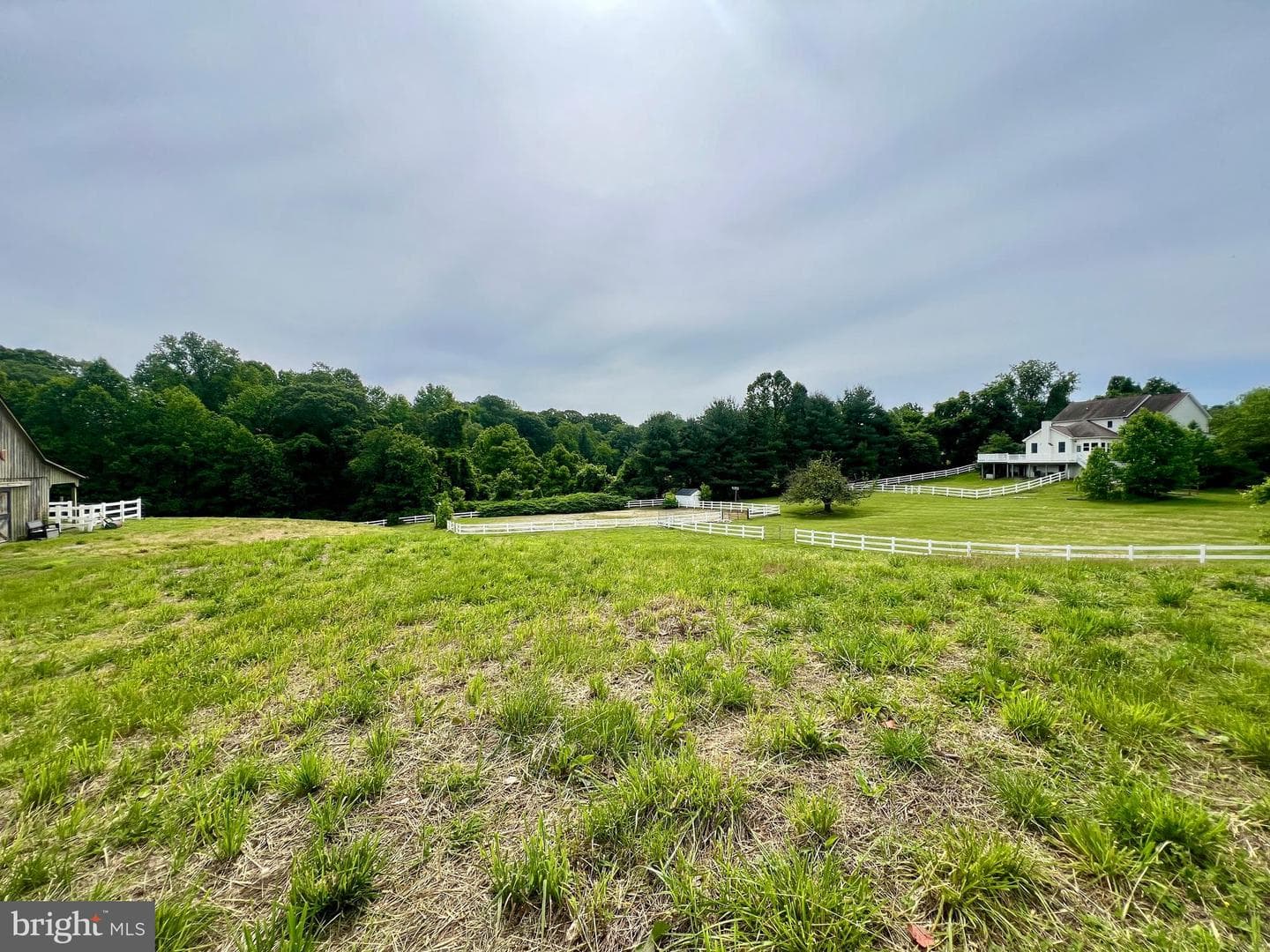 614 Wolfe Reserve Way photo 65