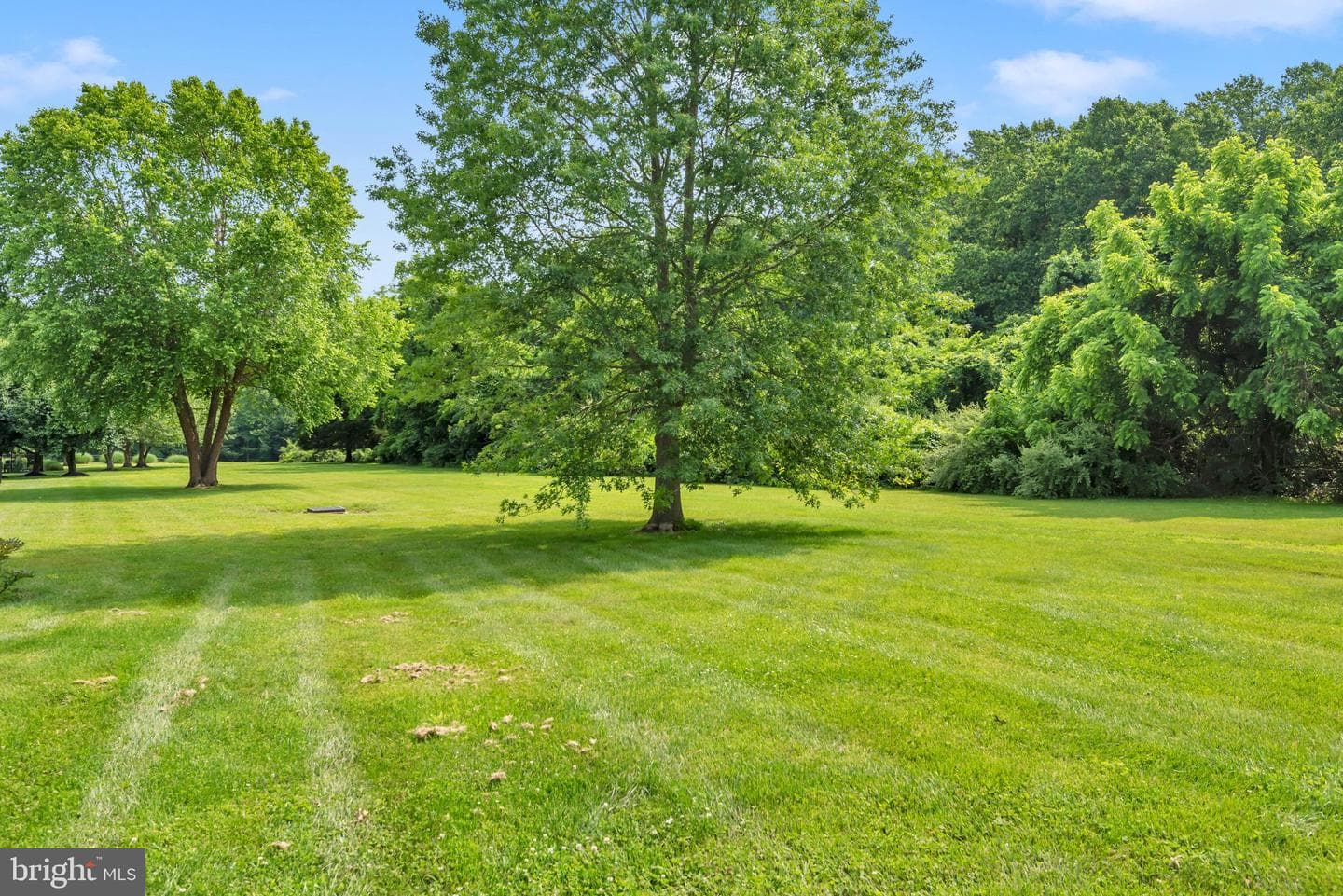 918 Preserve Drive photo 59