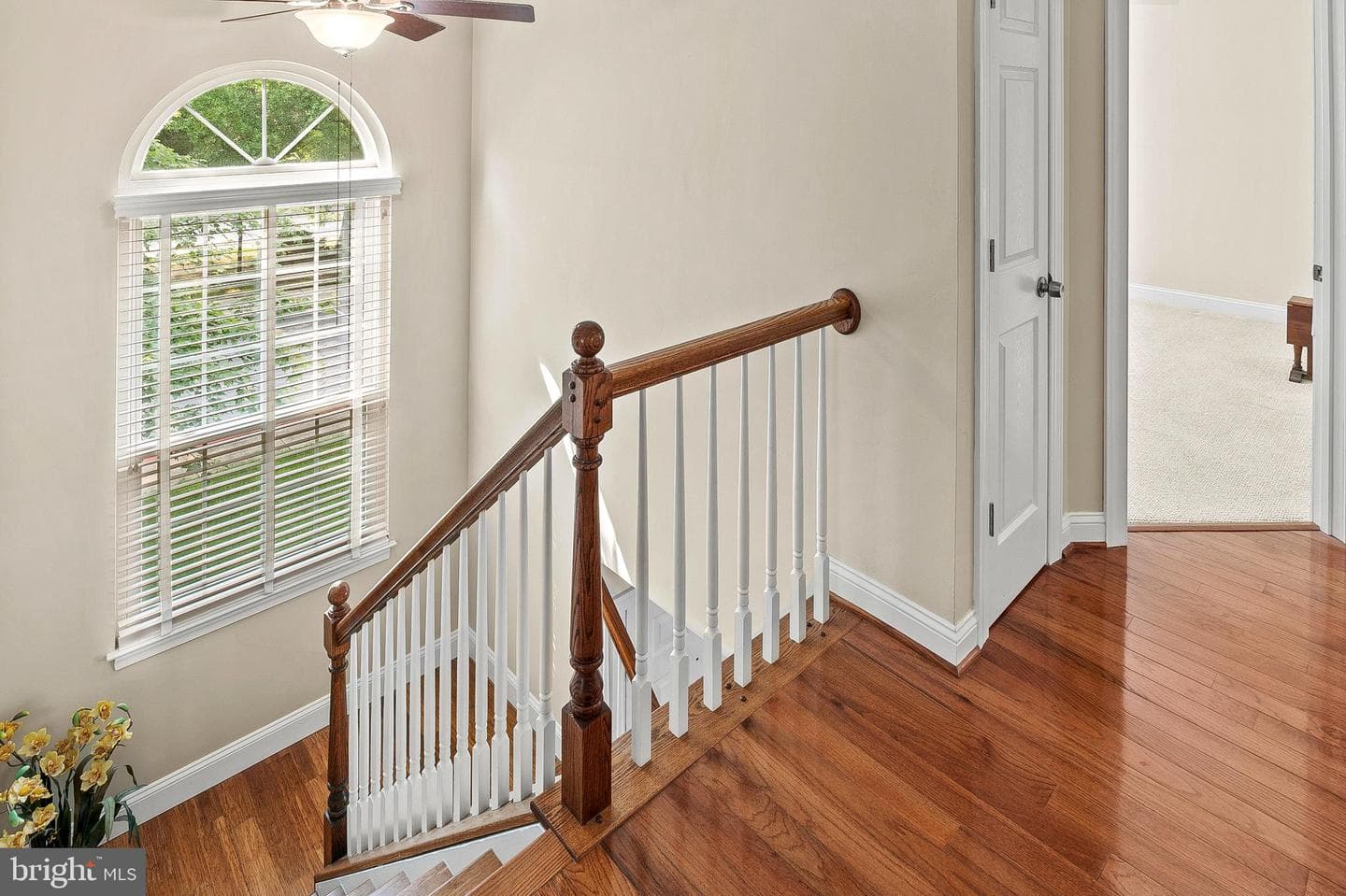 2 Leeward Court photo 24