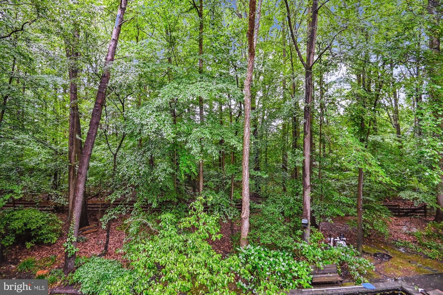 2317 Nancarles Drive photo 87