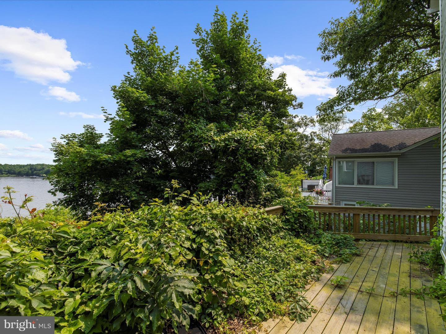8 Shore Walk Road photo 12