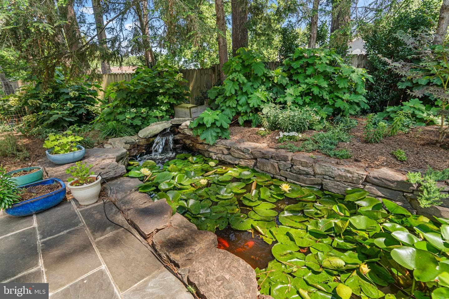 204 Mill Court photo 41