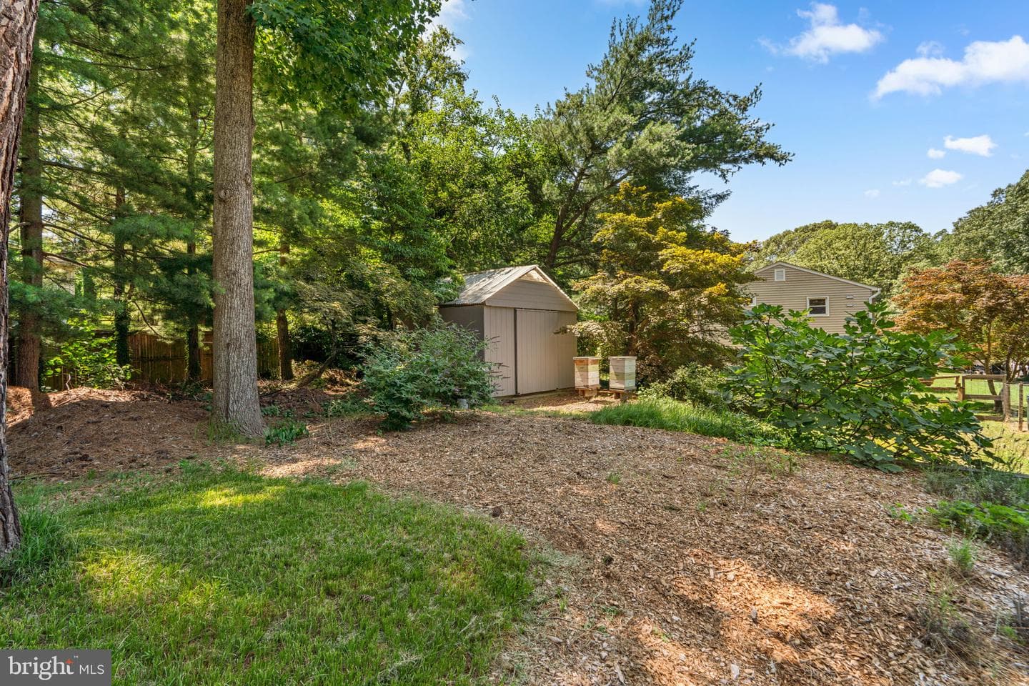 204 Mill Court photo 46