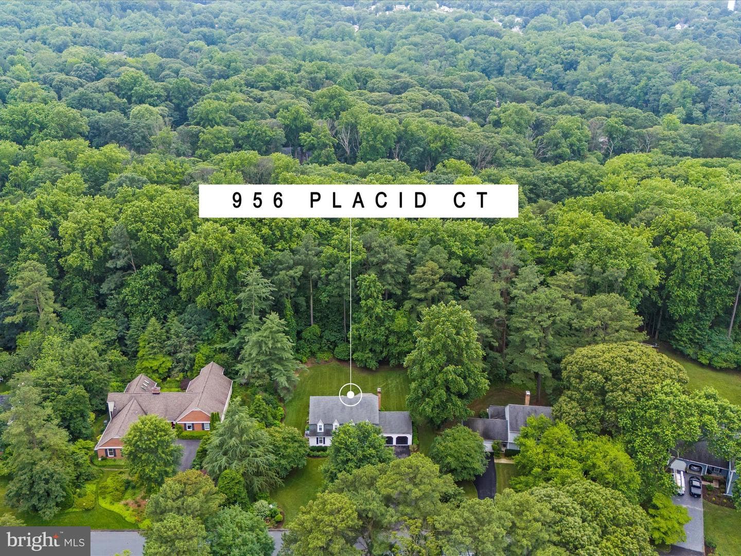 956 Placid Court photo 90