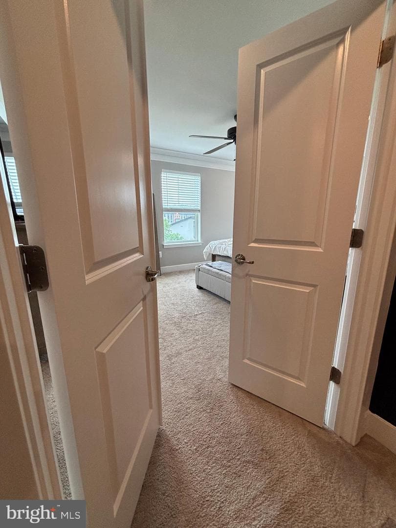 7656 Quartzite Lane photo 29