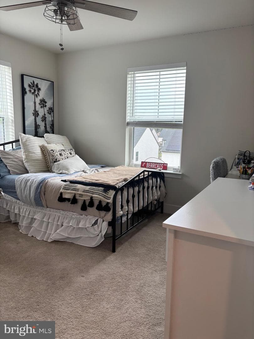 7656 Quartzite Lane photo 43