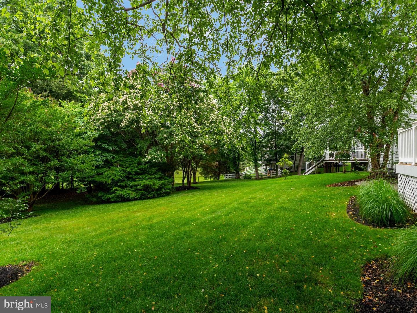848 Sunny Chapel Road photo 14