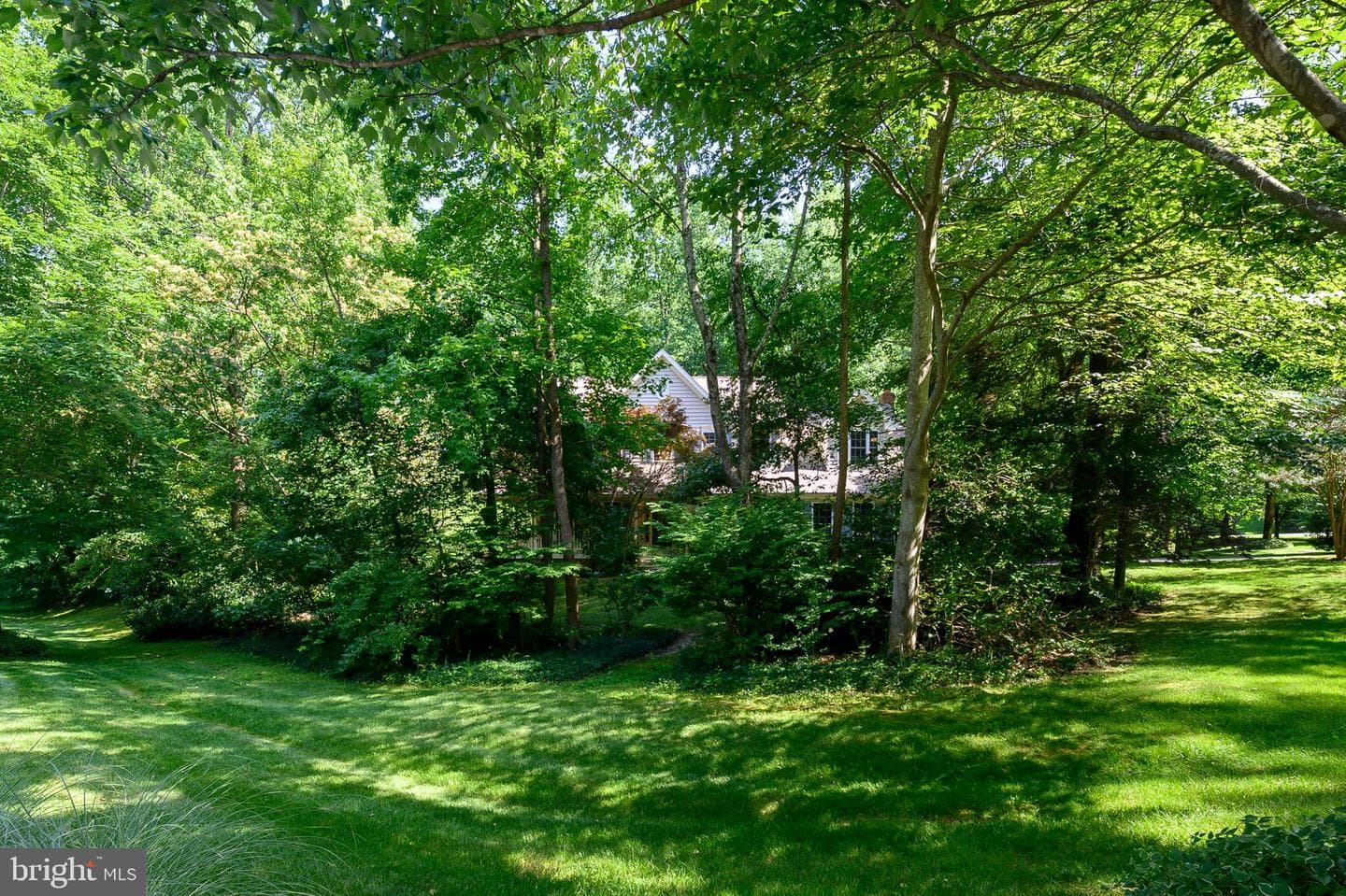 3689 N Carolina Avenue photo 5