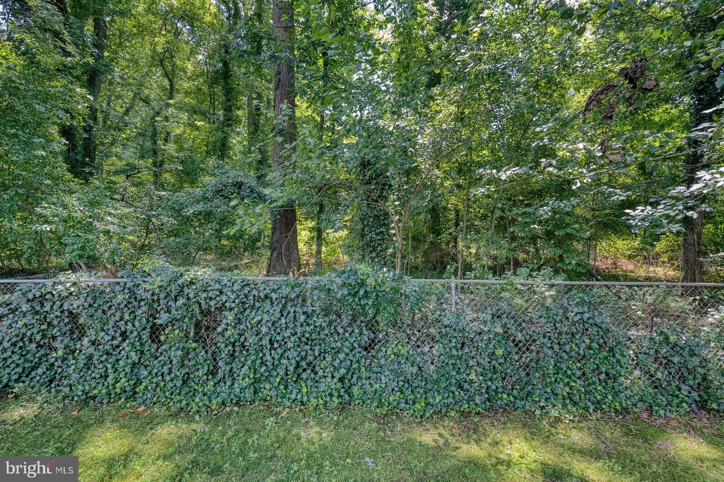 955 Fall Ridge Way photo 32