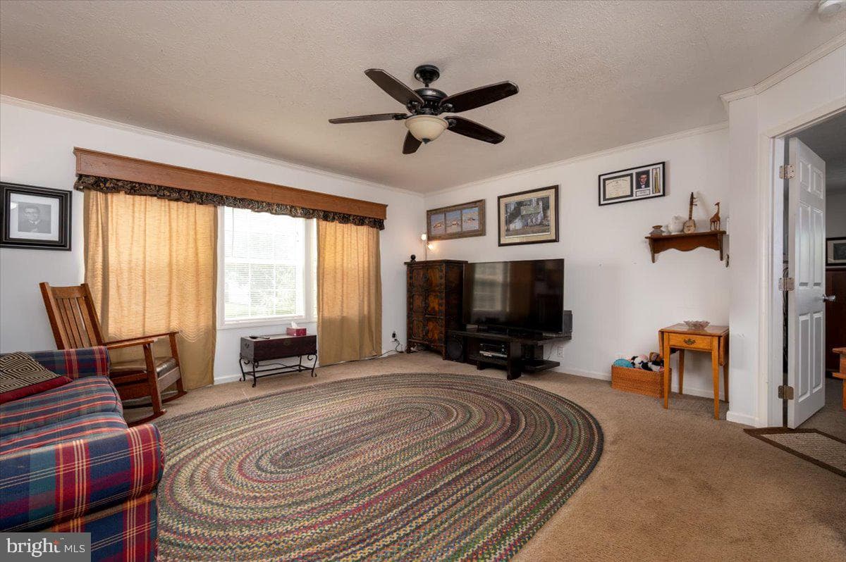 302 Berts Dr photo 11