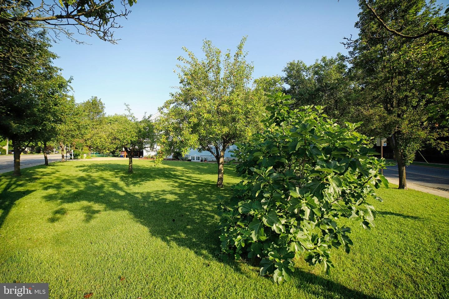 399 Hilltop Lane photo 41