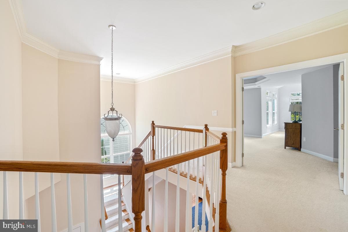 219 Bowen Court photo 33