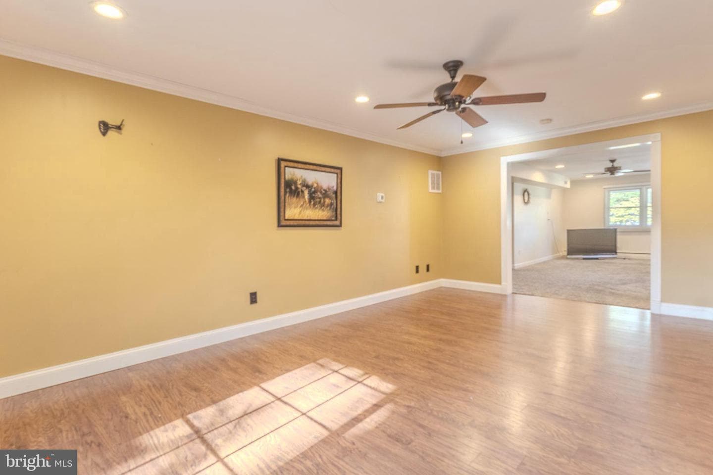 504 Elizabeth Road photo 28