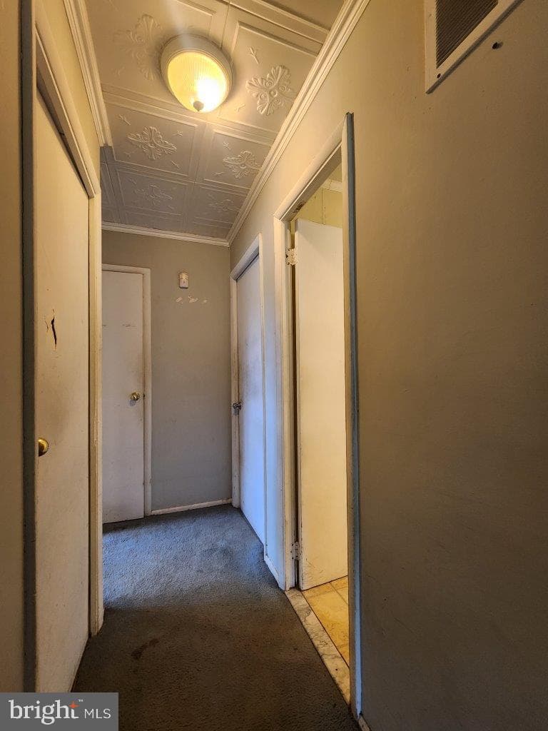907 Princeton Terrace photo 21