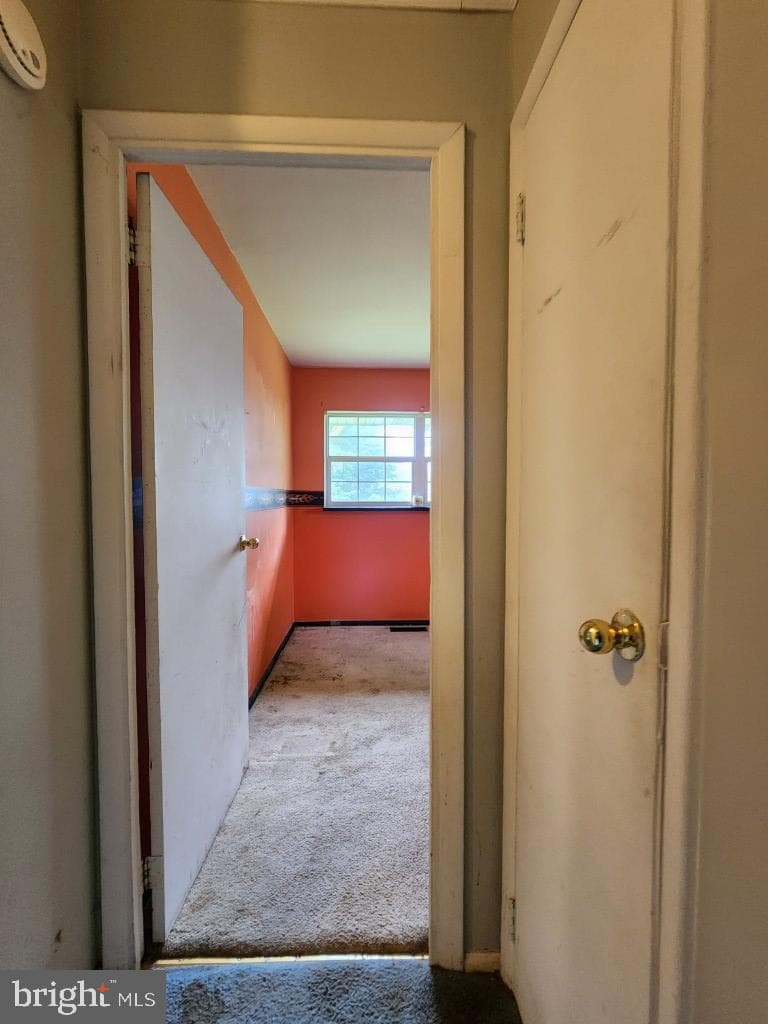 907 Princeton Terrace photo 27