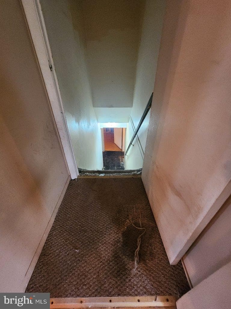 907 Princeton Terrace photo 31