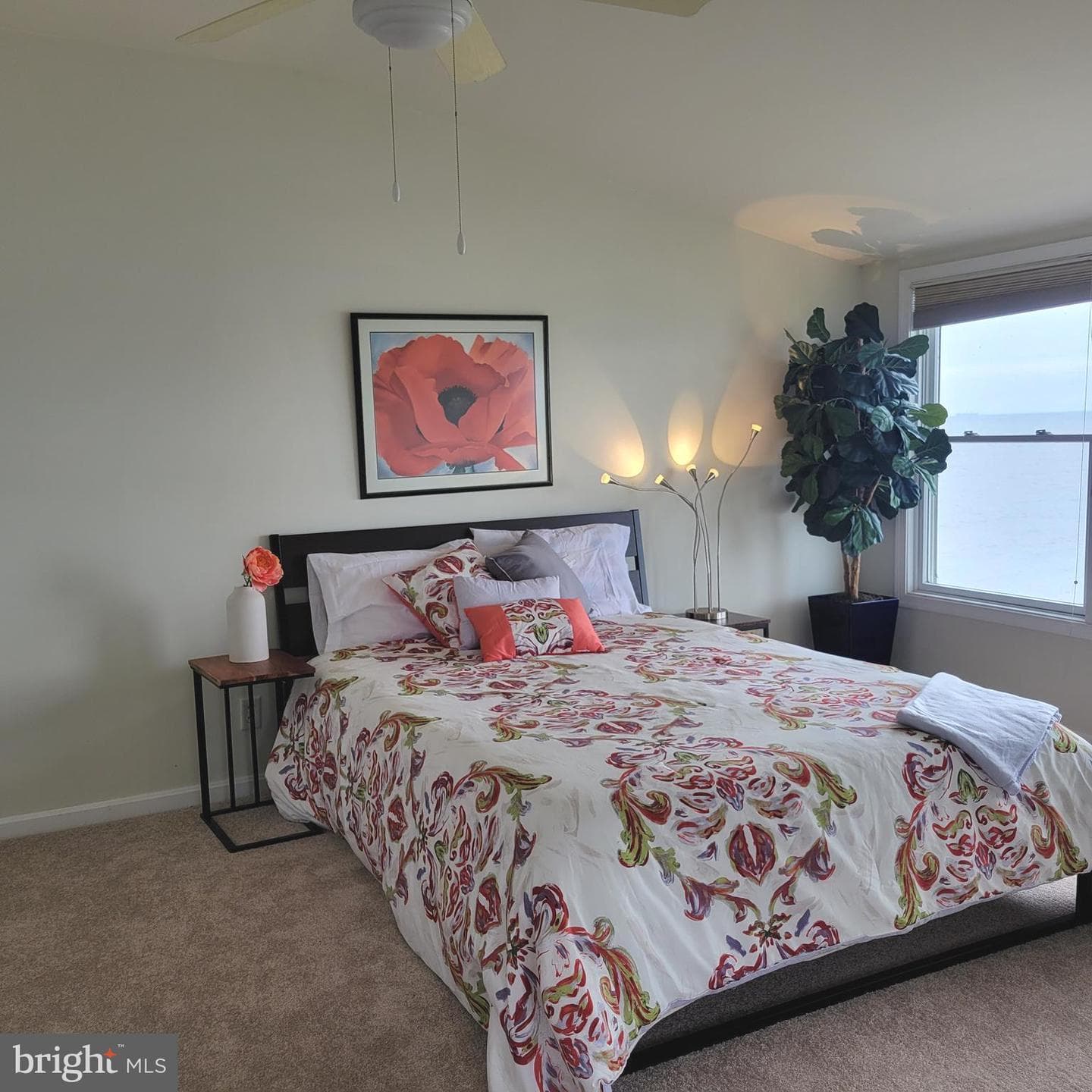 4715 Oak Road photo 42